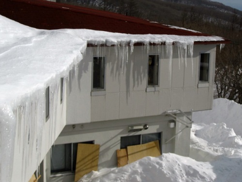 宿舎の屋根から伸びているつらら 氷柱 那須高原での自然観察 その2 つららができる原因には3種類あるそうです しろうと自然科学者の自然観察日記 楽天ブログ