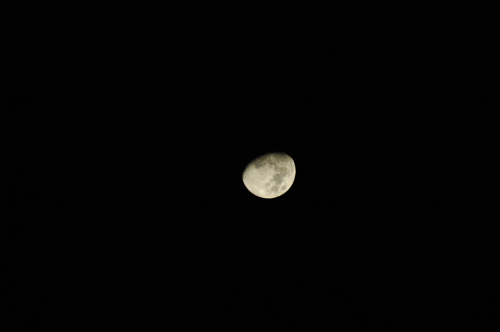 DSC_2669.JPG