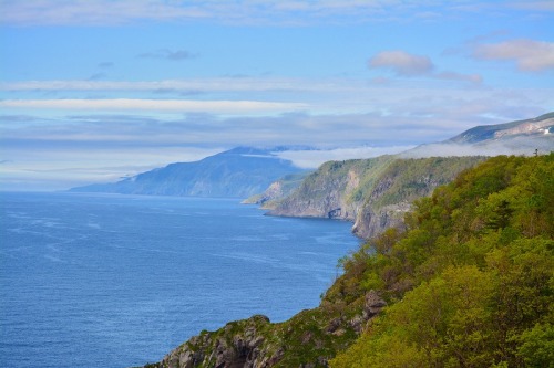 DSC_0645.jpg