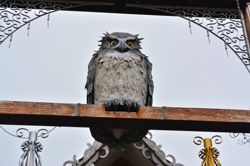 DSC_0663.jpg