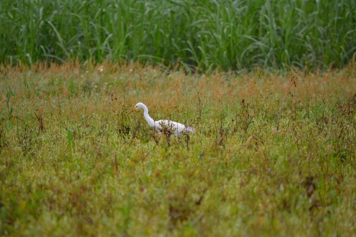 DSC_0846.jpg