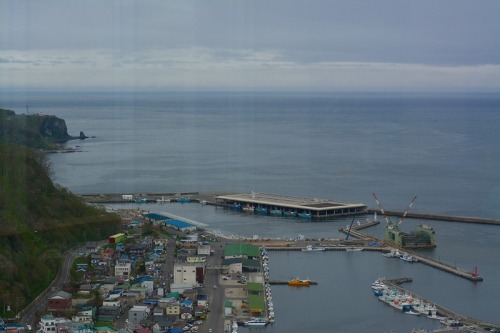 DSC_0050.jpg