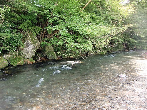 埼玉県 名栗川で川遊び 4人の子育て写真日記 楽天ブログ