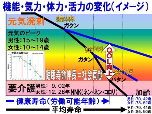 機能・気力・体力・活力の変化.jpg