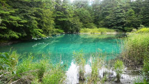 裏磐梯銀輪散歩 4 五色沼逍遥 瑠璃沼 青沼 小野川湖 偐万葉田舎家持歌集 楽天ブログ