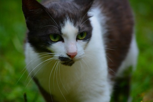 DSC_1048.jpg