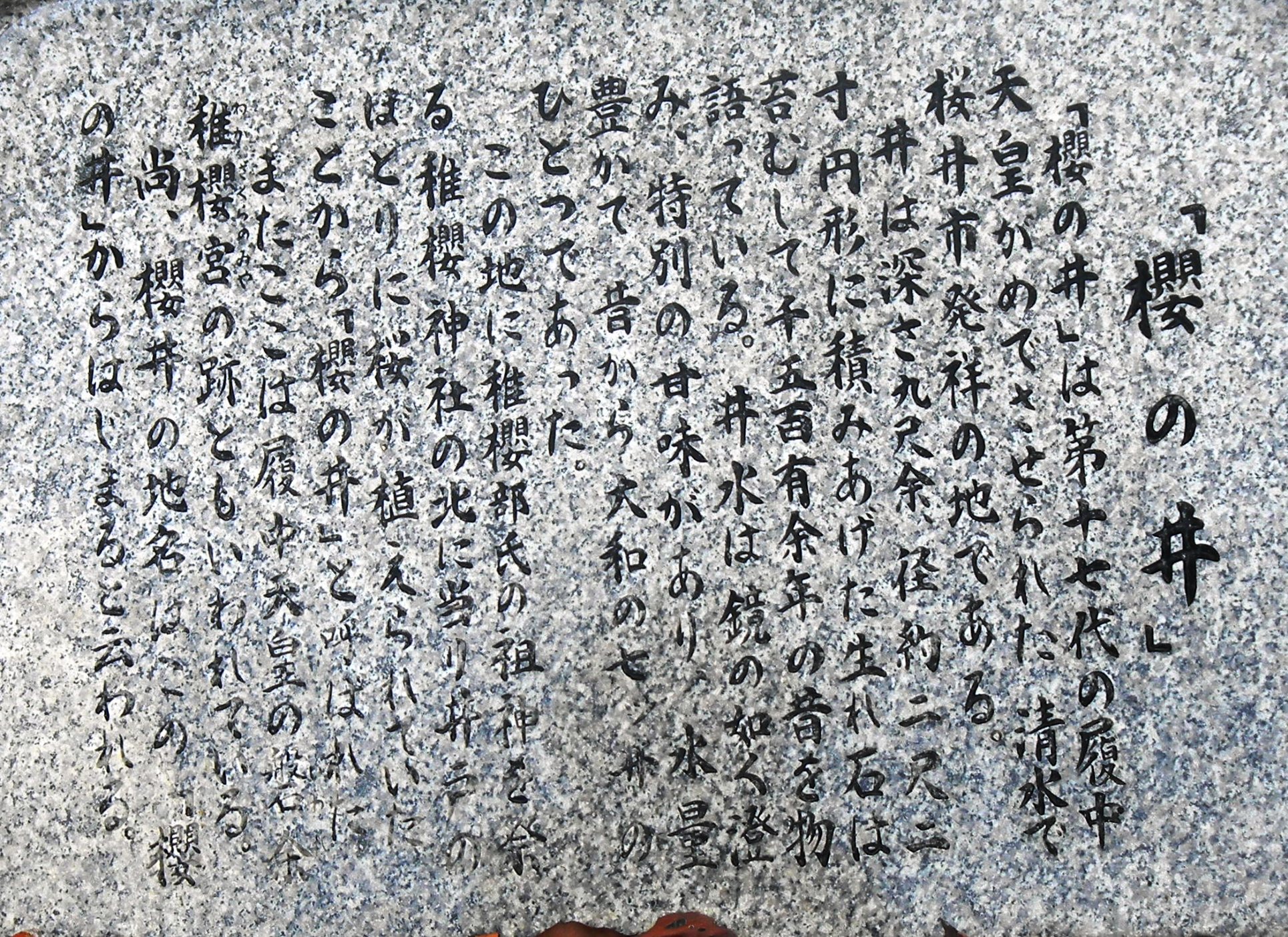 001桜の井 (2).JPG
