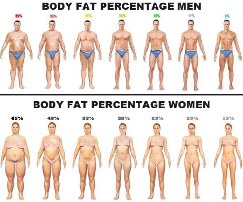 body-fat-percentage-men-women001.jpg