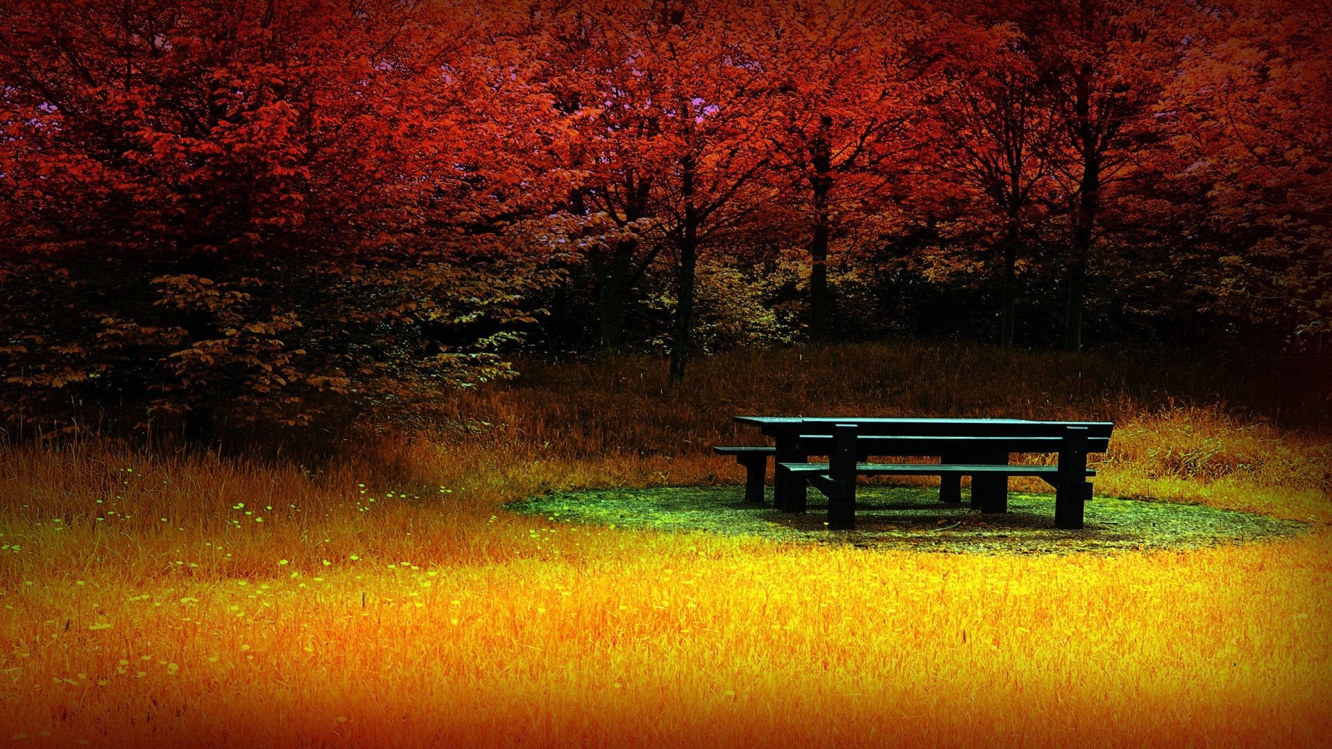 autumn-wallpaper-tranquility-resolution-223726.jpg