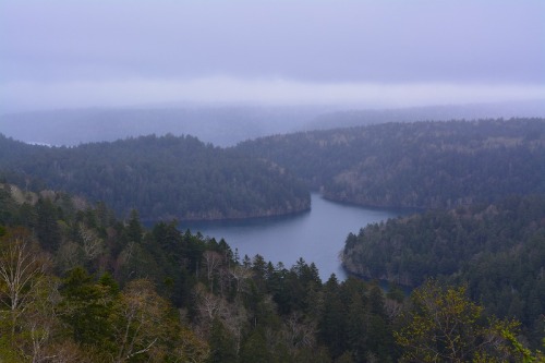 DSC_0666.jpg