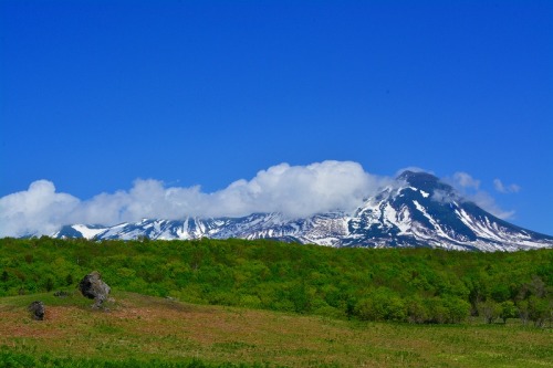 DSC_0020.jpg