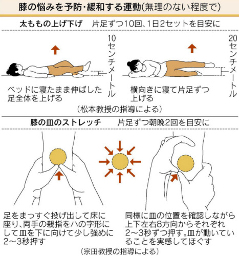 膝の悩み緩和運動日経130316.jpg