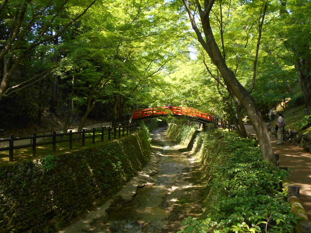 京都北野天満宮 青もみじと粟餅 パッキーの窓 楽天ブログ