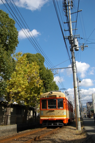 DSC_7181.JPG