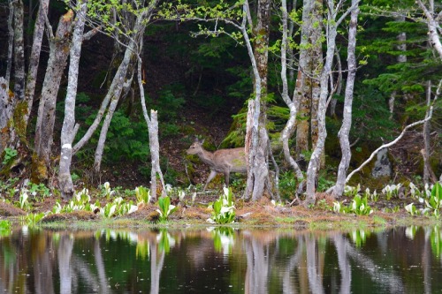 DSC_0406.jpg