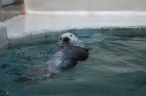 DSC_2558.JPG