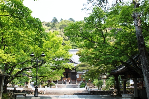 新緑の修禅寺.JPG