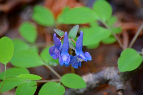 DSC_0419.jpg