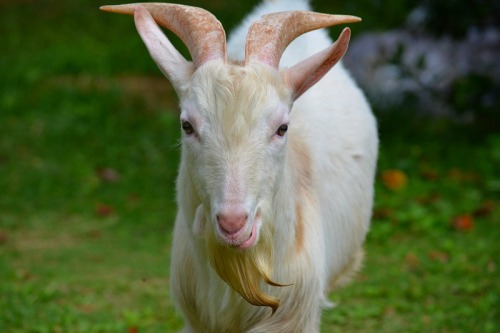 DSC_1258.jpg