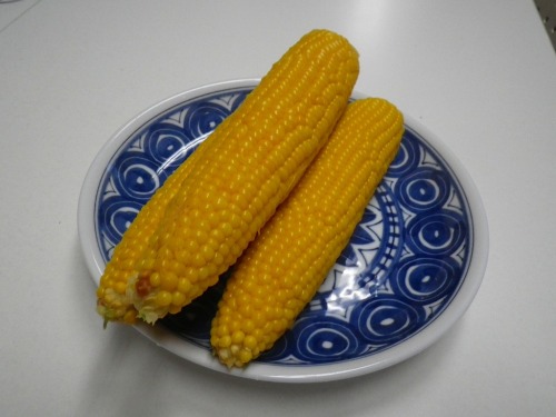 IMGP1040.jpg