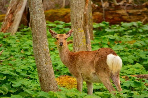 DSC_0676.jpg