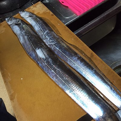 釣りたての太刀魚と回鍋肉 紫蘇の実の塩漬け あんこのつぶやき おやじの単身日記 楽天ブログ