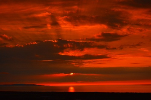DSC_0168.jpg