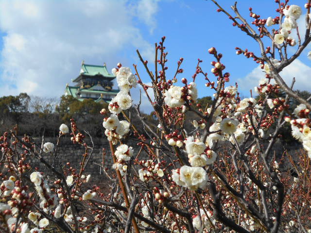 公園 大阪 梅 城