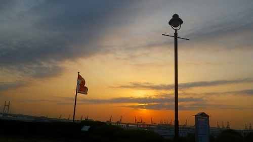 IMGP0002.jpg