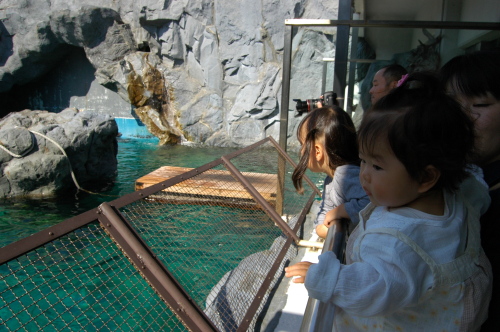 DSC_2206.JPG