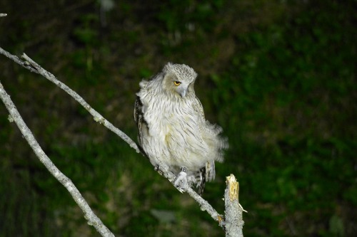 DSC_0124.jpg
