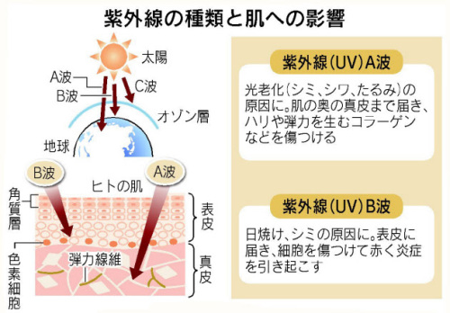 紫外線の種類と肌への影響日経120512.jpg