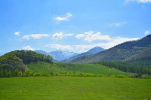 DSC_0573.jpg