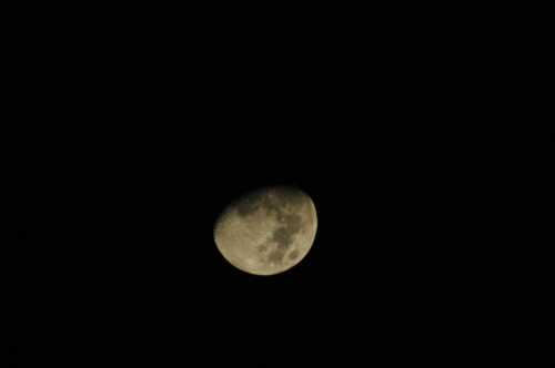 DSC_2644.JPG