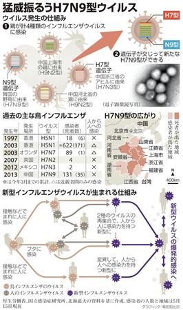 新顔鳥インフル.jpg