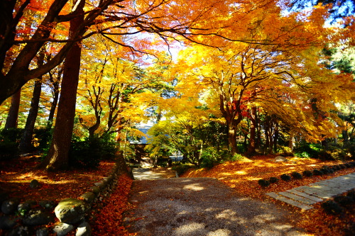 紅葉 寺家公園 勝平１２３のブログ 楽天ブログ