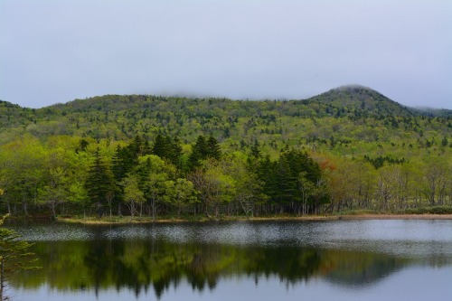 DSC_0514.jpg