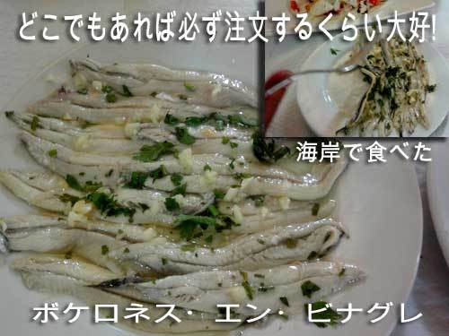 魚の寄生虫アニサキス スペインテレビ刺身の危険性議論ホアンマの息子ボケロネスエンビナグレで胃に激痛 アンダルシア Andalucia 楽天ブログ