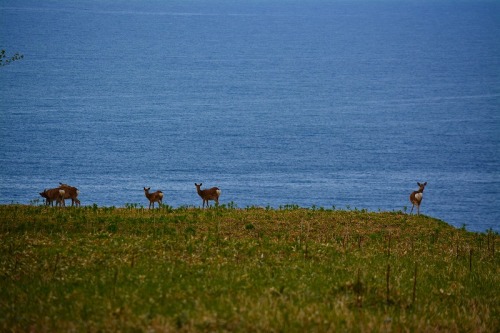 DSC_0620.jpg