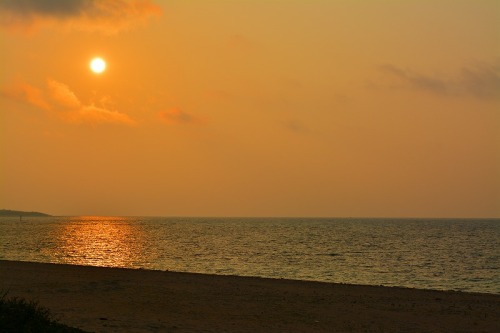 DSC_1021.jpg