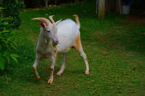 DSC_1210.jpg