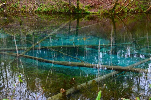 DSC_0878.jpg