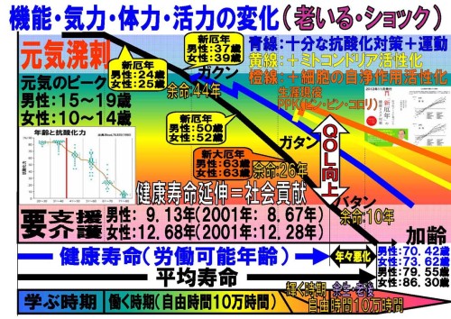 機能・気力・体力・活力の変化..jpg