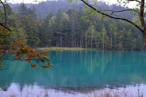 DSC_0656.jpg