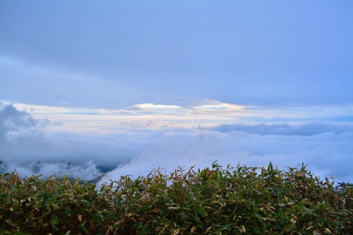 DSC_0790.jpg