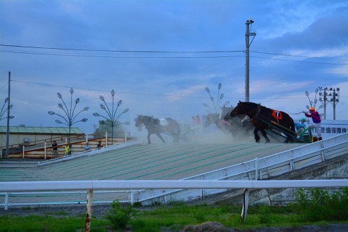 DSC_0623.jpg