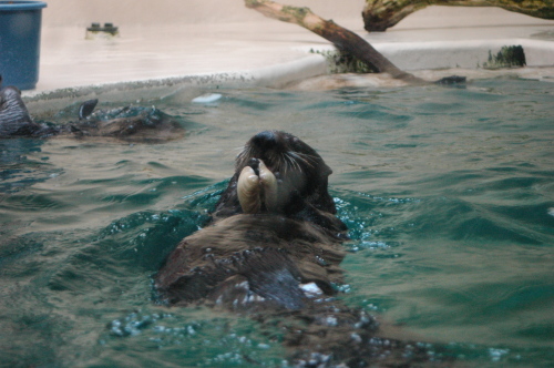 DSC_2587.JPG