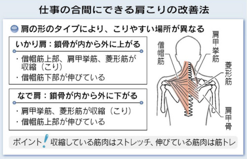 肩こり改善法日経130209.JPG