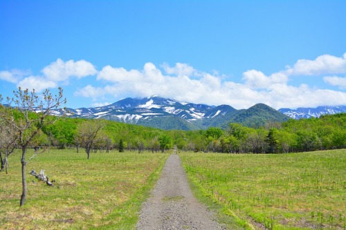 DSC_0915.jpg
