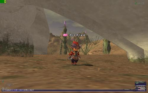 Ffxi 風水学入門 ジョブ 風水士 取得クエスト Dream Collett 楽天ブログ